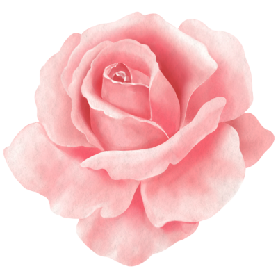 fleur guerison du vaginisme